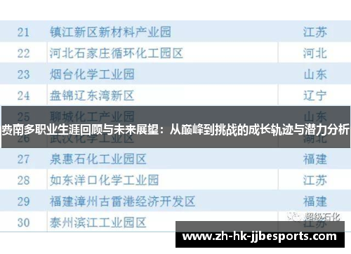 费南多职业生涯回顾与未来展望：从巅峰到挑战的成长轨迹与潜力分析